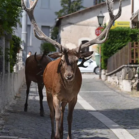 Filippone Hotel&ristorante Gioia dei Marsi