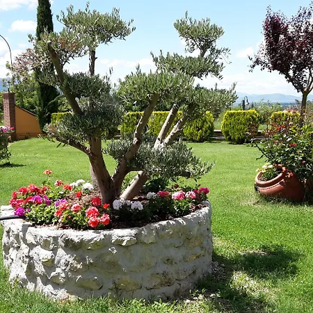 Hotel Filippone Hotel&ristorante Gioia Dei Marsi