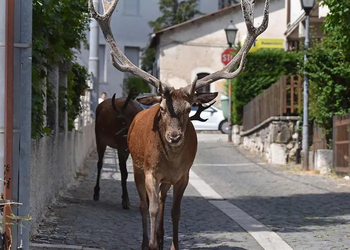 Filippone Hotel&ristorante Gioia dei Marsi