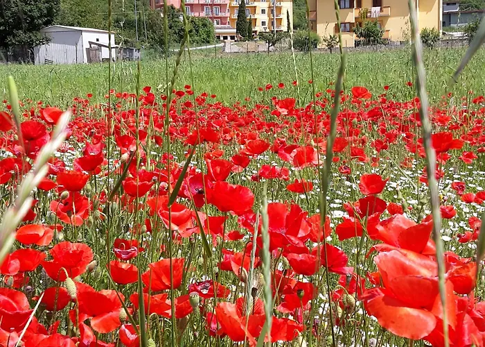 Filippone Hotel&ristorante