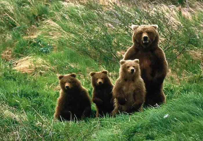 Filippone Hotel&ristorante