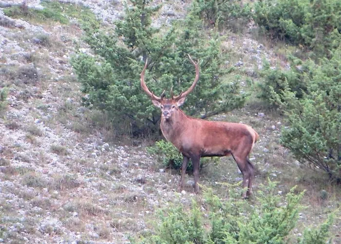 Filippone Hotel&ristorante ホテル